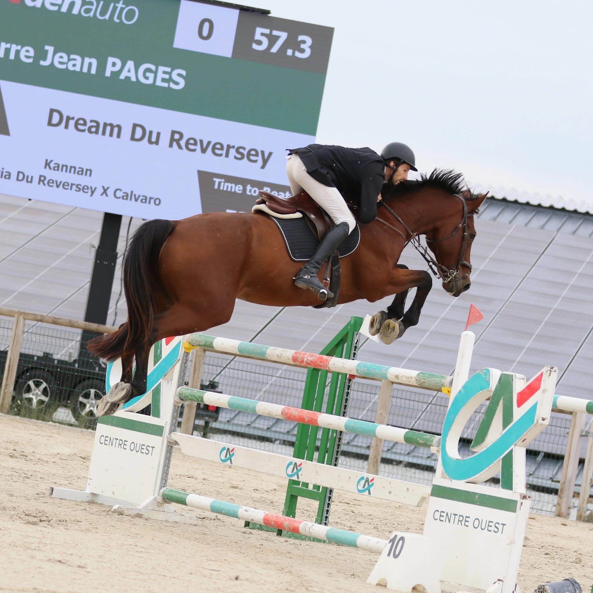 Dream du Reversey